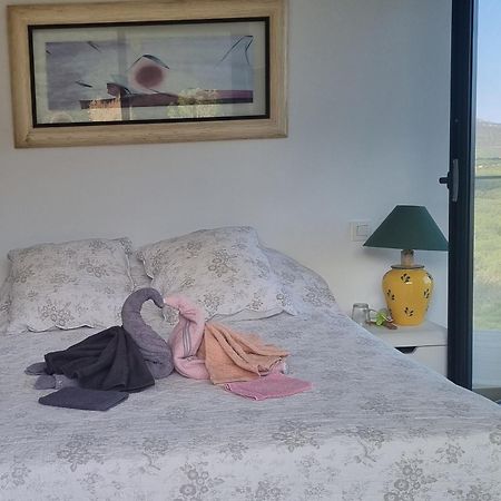 Villelongue-dels-Monts Chambre De Luxe, Spa, Piscine, Entre Mer Et Montagne מראה חיצוני תמונה